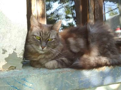 Прикрепленное изображение: 1723187261524.jpg